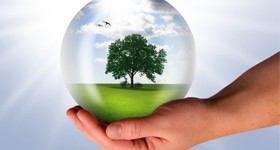 Prawo ochrony środowiska w systemie zarządzania jakością 