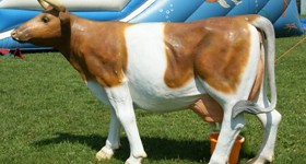 Artificial cow