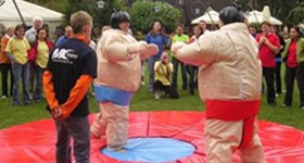 Sumo wrestling