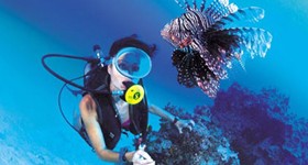 Scuba diving