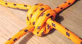 The Knot
