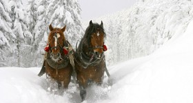 The Sleigh Ride